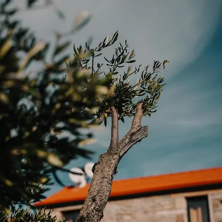 Casa Da Mina - Pendilhe