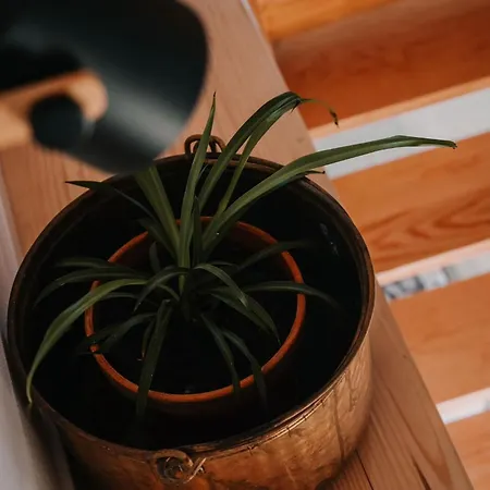 Casa de Férias Casa Da Mina - Pendilhe