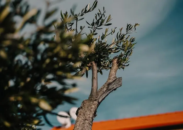 Casa Da Mina - Pendilhe