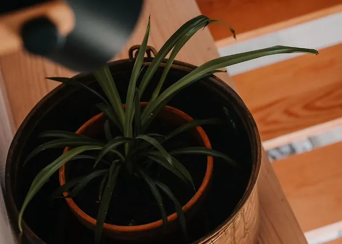 Holiday home Casa Da Mina - Pendilhe